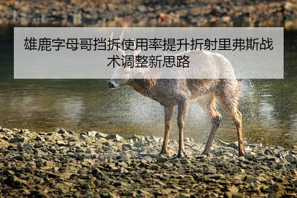 雄鹿字母哥挡拆使用率提升折射里弗斯战术调整新思路