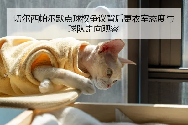 切尔西帕尔默点球权争议背后更衣室态度与球队走向观察