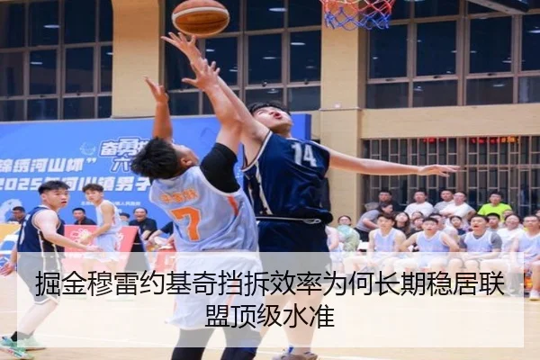 掘金穆雷约基奇挡拆效率为何长期稳居联盟顶级水准